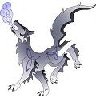 Greydog