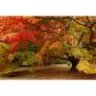 Autumwinds