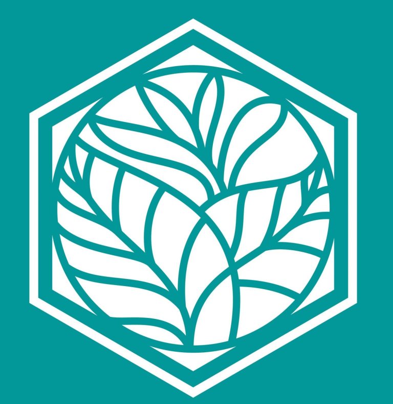 hexagon logo 2 768x788