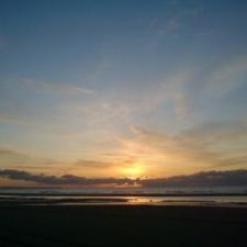 11849_photo_12248
