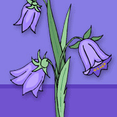 165.PNG 165.PNG