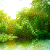 Capture29.GIF Capture29.GIF