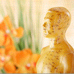 Capture41.GIF Capture41.GIF