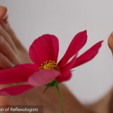 Feet_with_d_pink_flower_edited_smaller Feet_with_d_pink_flower_edited_smaller