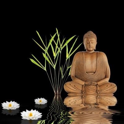 SMART_BUDDAH_ON_BLACK1 SMART_BUDDAH_ON_BLACK1