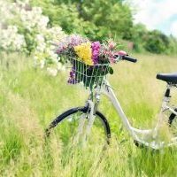 Spring-bicycle.jpg