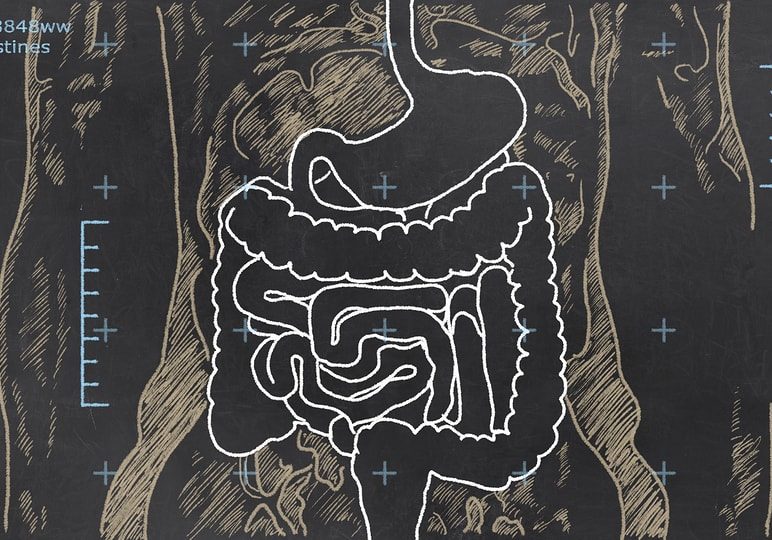 X-ray of Intestines sketched on a Blackboard