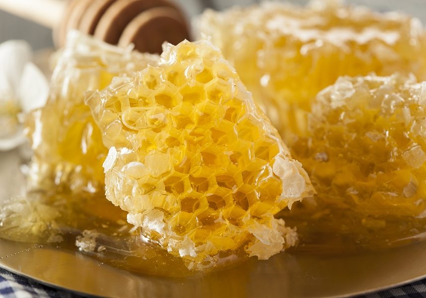 Organic Raw Golden Honey Comb on a Background