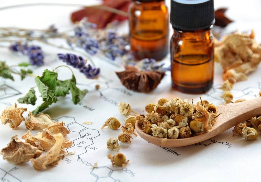 dried herbs and essential oils on science sheet