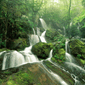 ce18ee31c443df30c059c682ae053760.gif ce18ee31c443df30c059c682ae053760.gif