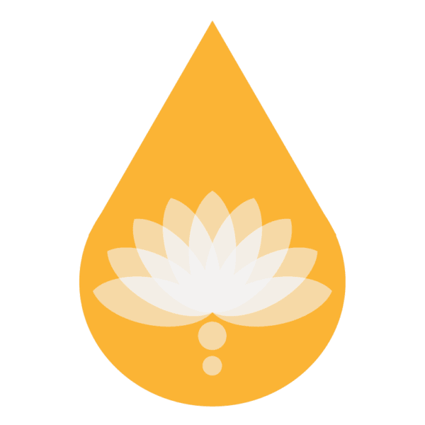 sa-icon sa-icon
