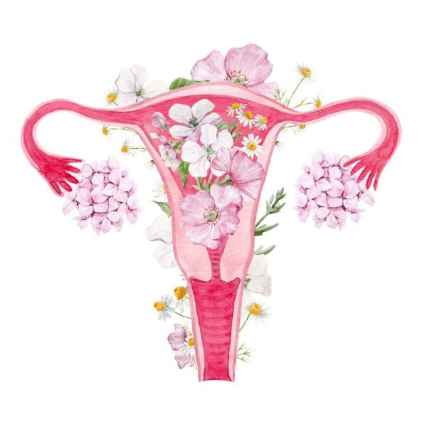 Hayley Merrick Period & Fertility Coach – Womb Healing Hayley Merrick Period & Fertility Coach – Womb Healing