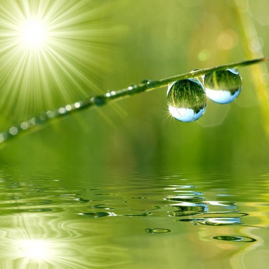 water_drops_green_2 water_drops_green_2