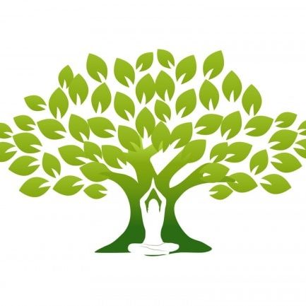 yoga_tree yoga_tree